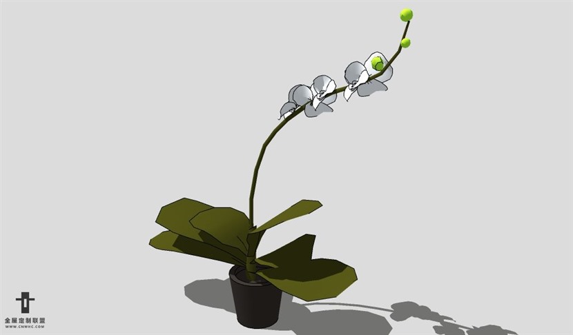 SketchUp饰品模型草图大师花艺3D模型Artificial Plant-069