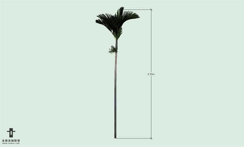 SketchUp草图大师户外植物棕榈树SU模型-Palm tree 001SKP模型