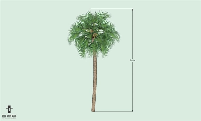 SketchUp草图大师户外植物棕榈树SU模型-Palm tree 002SKP模型