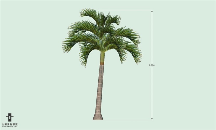 SketchUp草图大师户外植物棕榈树SU模型-Palm tree 004SKP模型