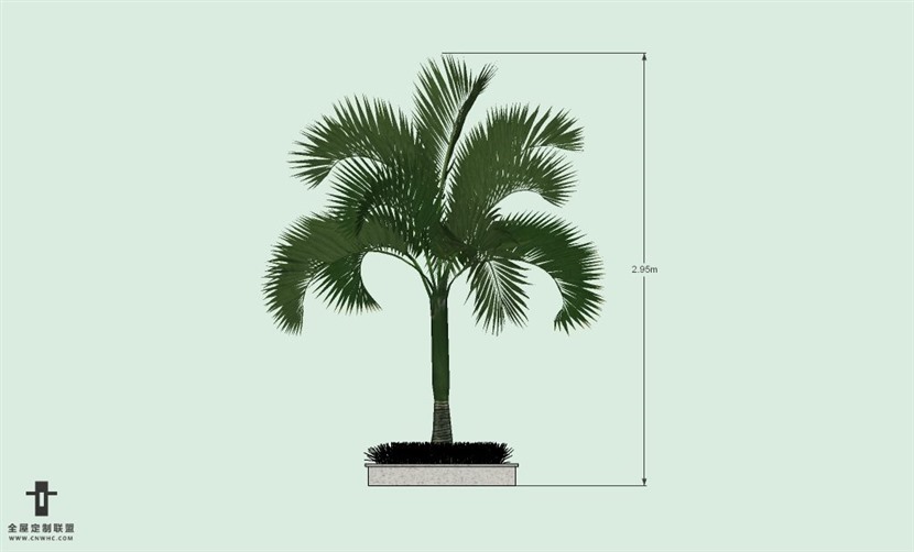 SketchUp草图大师户外植物棕榈树SU模型-Palm tree 005SKP模型