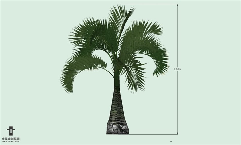 SketchUp草图大师户外植物棕榈树SU模型-Palm tree 006SKP模型