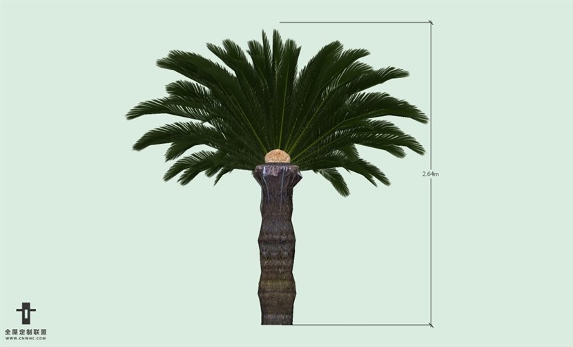 SketchUp草图大师户外植物棕榈树SU模型-Palm tree 007SKP模型