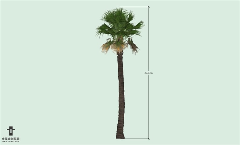 SketchUp草图大师户外植物棕榈树SU模型-Palm tree 009SKP模型