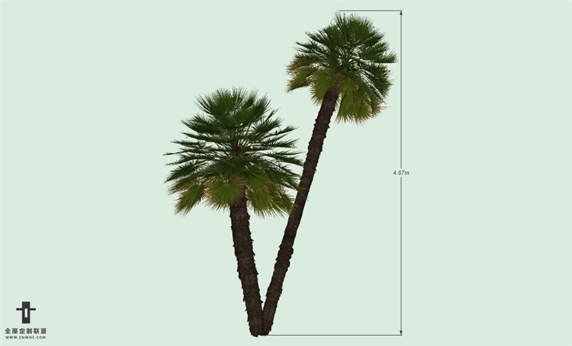 SketchUp草图大师户外植物棕榈树SU模型-Palm tree 013SKP模型