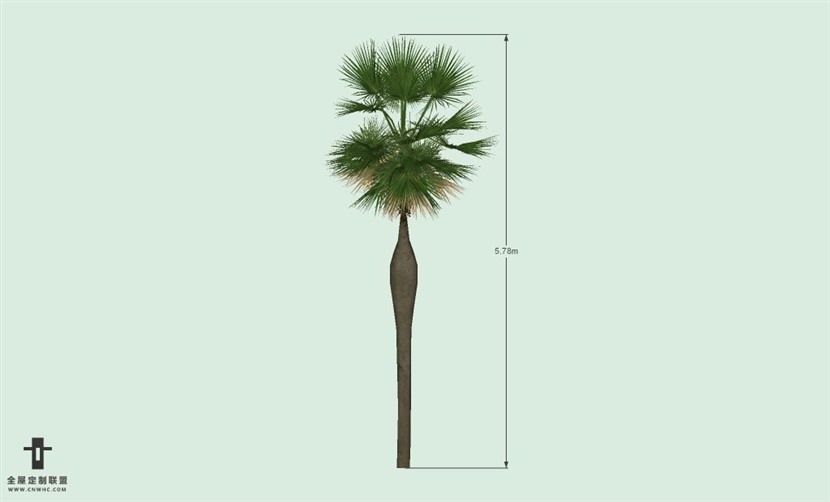 SketchUp草图大师户外植物棕榈树SU模型-Palm tree 015SKP模型