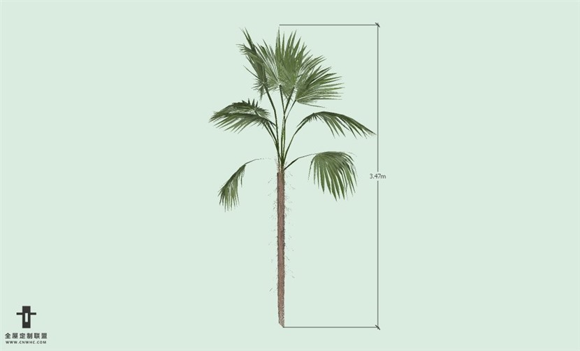 SketchUp草图大师户外植物棕榈树SU模型-Palm tree 016SKP模型