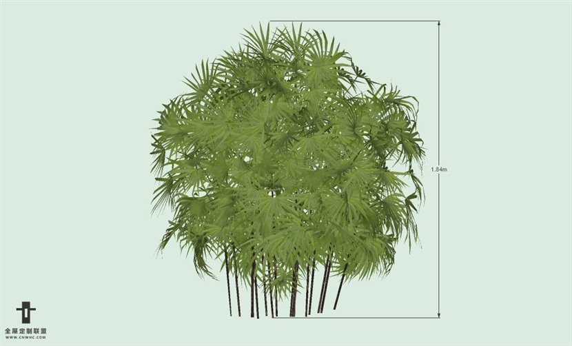 SketchUp草图大师户外植物棕榈树SU模型-Palm tree 017SKP模型