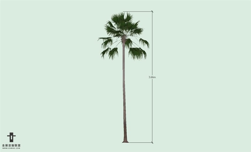 SketchUp草图大师户外植物棕榈树SU模型-Palm tree 018SKP模型