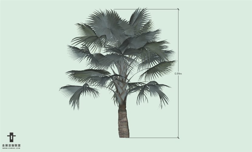 SketchUp草图大师户外植物棕榈树SU模型-Palm tree 019SKP模型