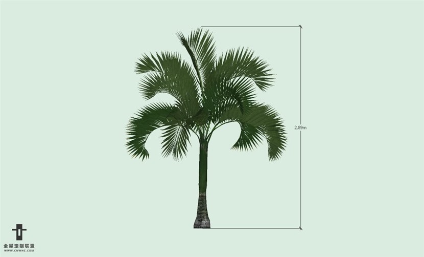 SketchUp草图大师户外植物棕榈树SU模型-Palm tree 020SKP模型