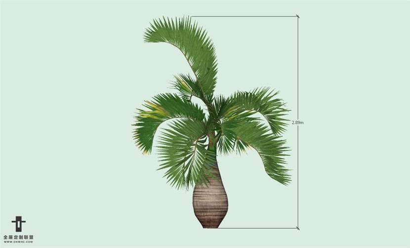 SketchUp草图大师户外植物棕榈树SU模型-Palm tree 021SKP模型