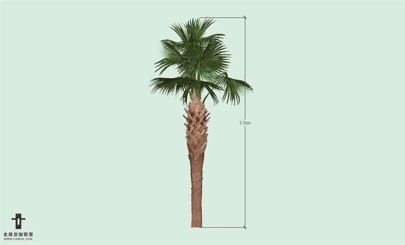 SketchUp草图大师户外植物棕榈树SU模型-Palm tree 022SKP模型