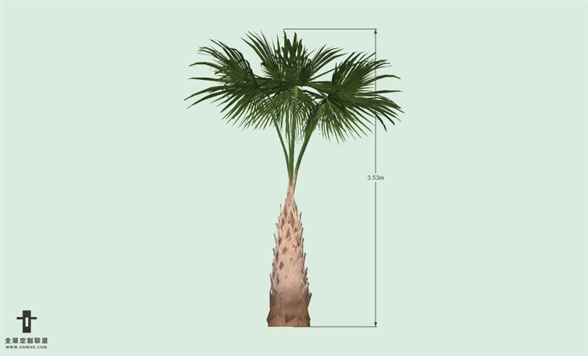 SketchUp草图大师户外植物棕榈树SU模型-Palm tree 023SKP模型