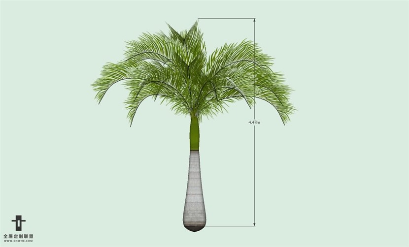 SketchUp草图大师户外植物棕榈树SU模型-Palm tree 024SKP模型