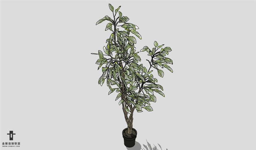 SketchUp饰品模型草图大师花艺3D模型Plant-004