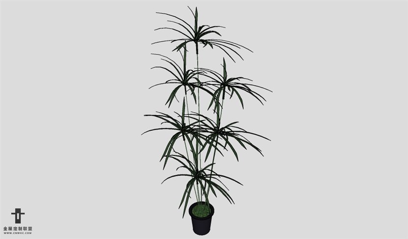 SketchUp饰品模型草图大师花艺3D模型Plant-008