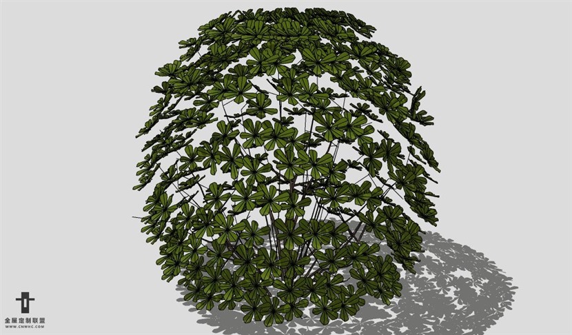 SketchUp饰品模型草图大师花艺3D模型Plant-009