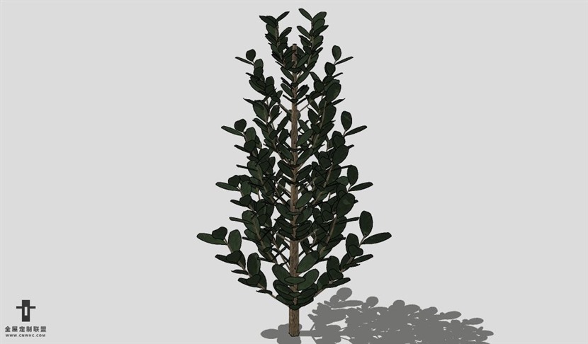 SketchUp饰品模型草图大师花艺3D模型Plant-010