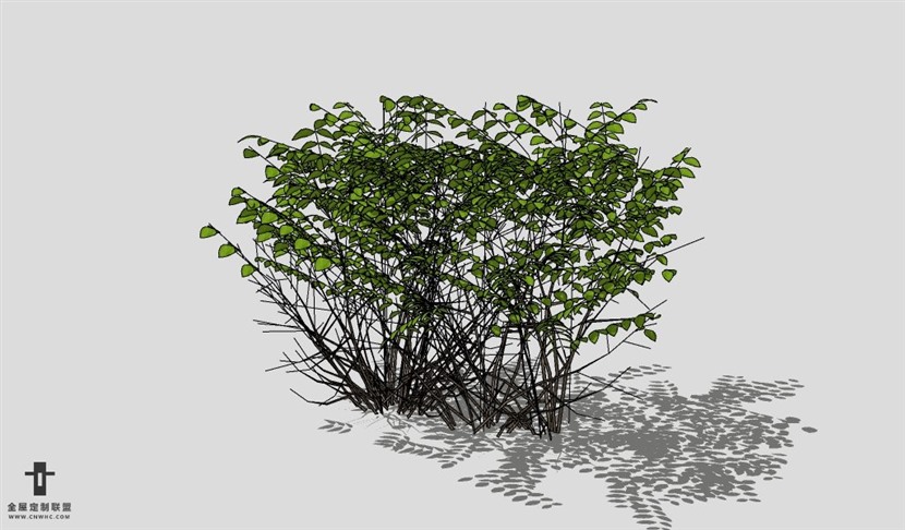 SketchUp饰品模型草图大师花艺3D模型Plant-012