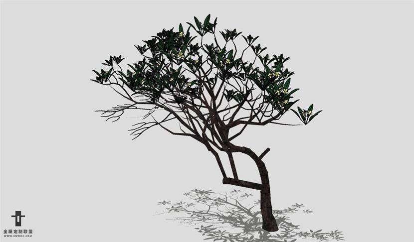 SketchUp饰品模型草图大师花艺3D模型Plant-014