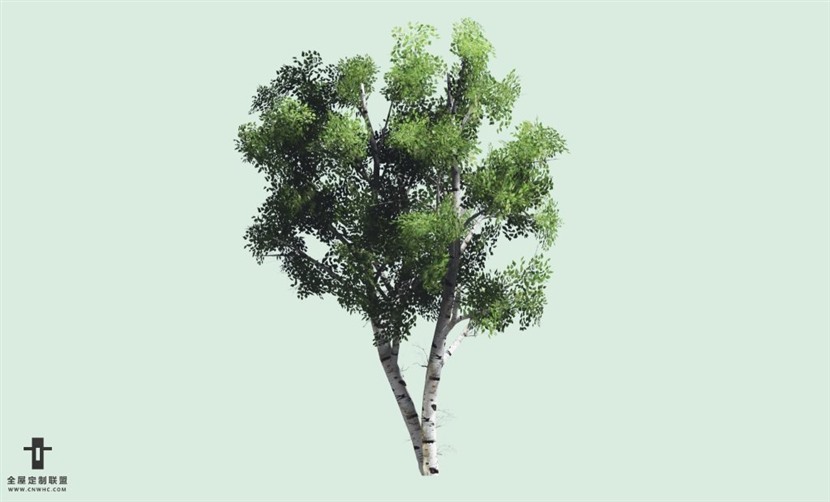 SketchUp草图大师户外景观植物树木SU模型下载091SKP模型