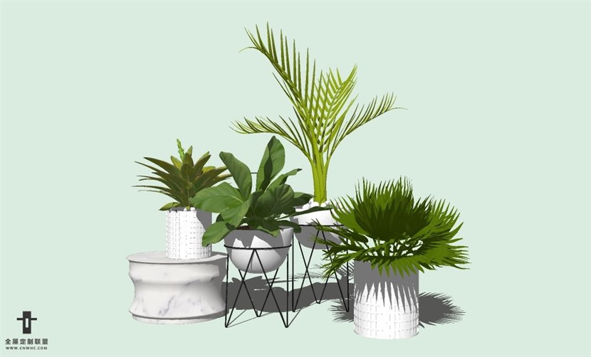 SketchUp草图大师室内植物盆栽SU模型下载plants-003SKP模型