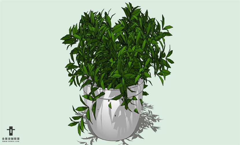 SketchUp草图大师室内植物花草盆栽SU模型下载plants-031SKP模型