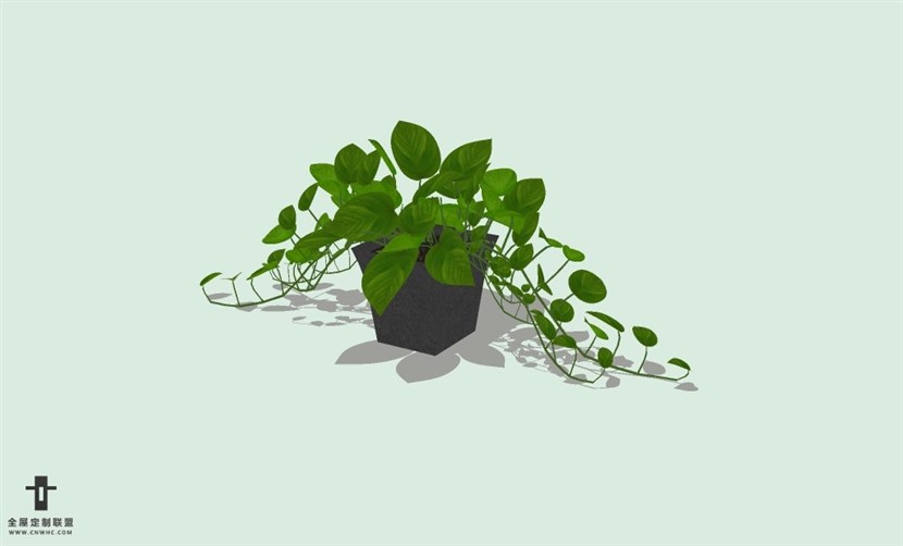 SketchUp草图大师室内植物花草盆栽绿萝SU模型下载plants-032SKP模型