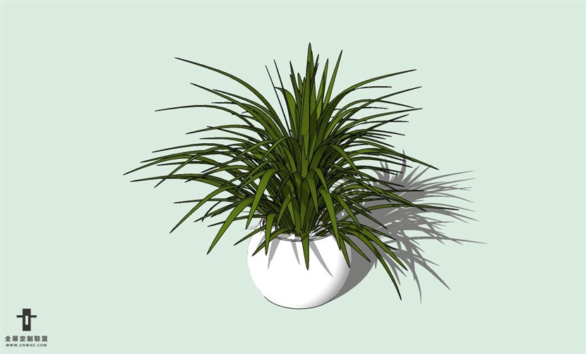 SketchUp草图大师室内植物花草盆栽SU模型下载plants-038SKP模型