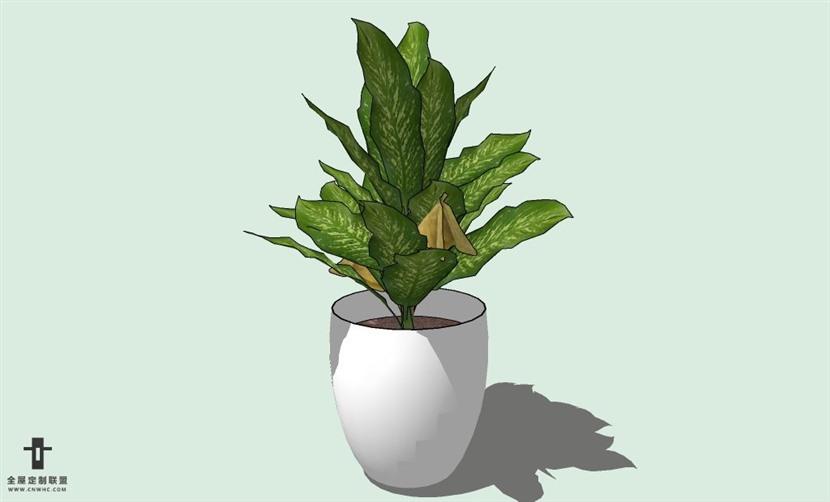 SketchUp草图大师室内植物花草盆栽SU模型下载plants-041SKP模型