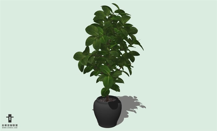 SketchUp草图大师室内植物盆景花草盆栽SU模型下载plants-047SKP模型