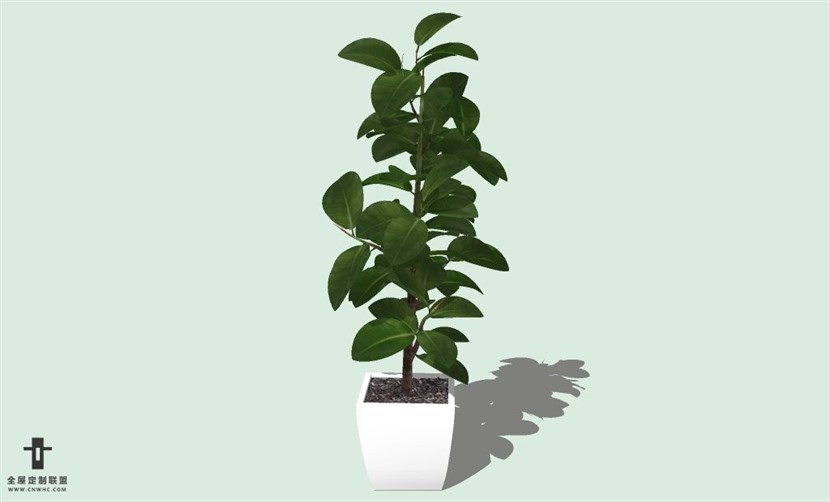 SketchUp草图大师室内植物盆景花草盆栽SU模型下载plants-048SKP模型