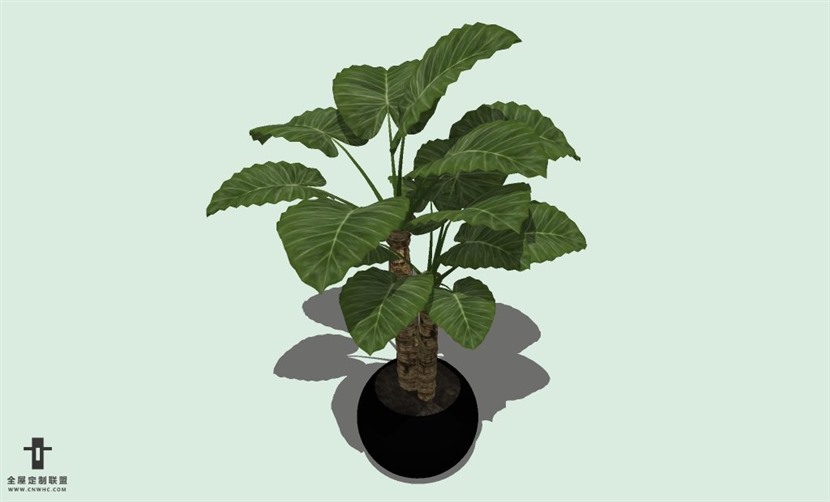 SketchUp草图大师室内植物盆景花草盆栽SU模型下载plants-050SKP模型