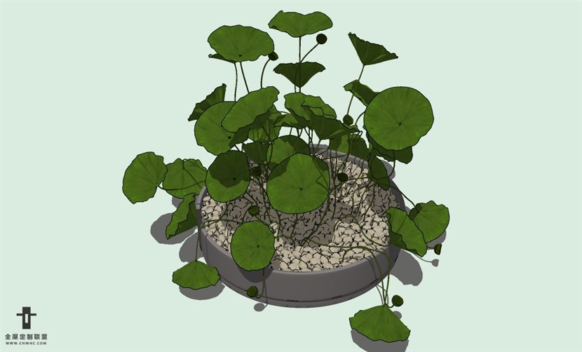 SketchUp草图大师室内植物盆景花草盆栽SU模型下载plants-051SKP模型