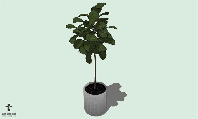 SketchUp草图大师室内植物盆景花草盆栽SU模型下载plants-052SKP模型