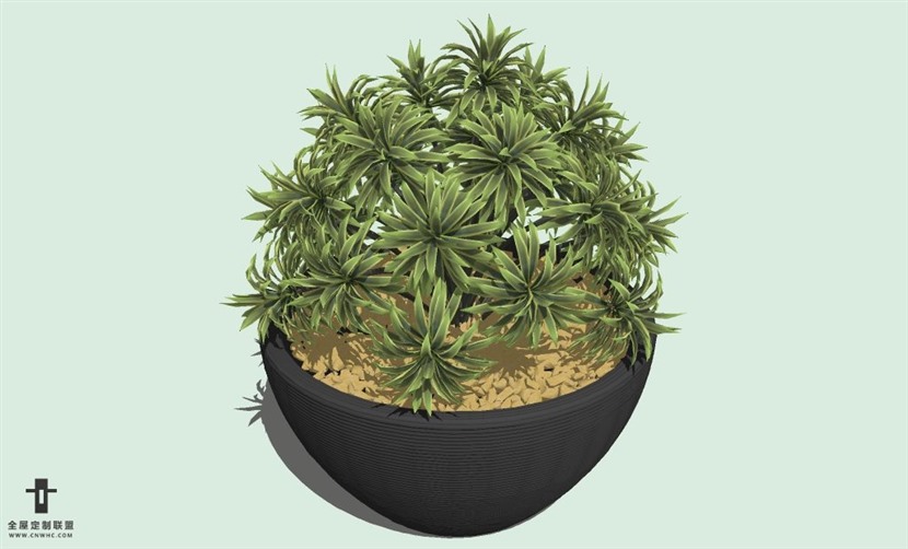 SketchUp草图大师室内植物盆景花草盆栽SU模型下载plants-057SKP模型