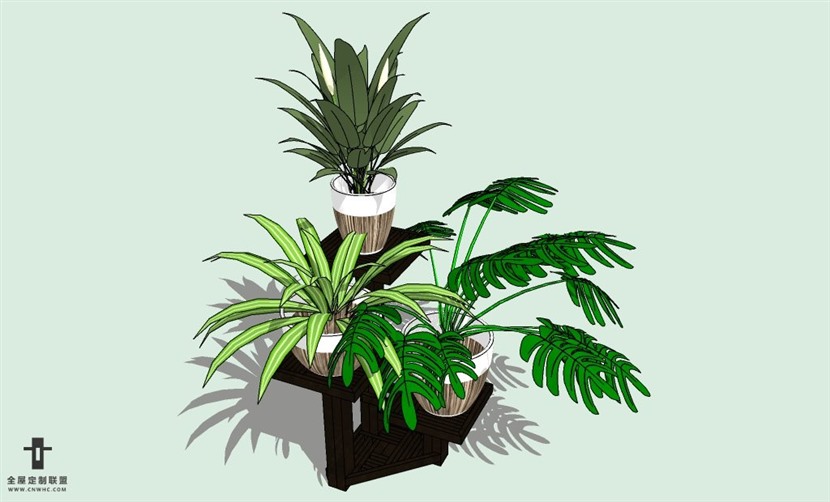 SketchUp草图大师室内植物盆景花草盆栽SU模型下载plants-062SKP模型