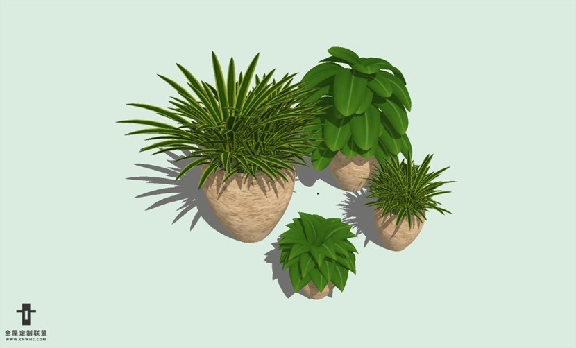 SketchUp草图大师室内植物盆景花草盆栽SU模型下载plants-063SKP模型