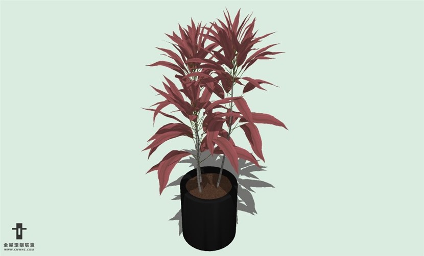 SketchUp草图大师室内植物盆景花草盆栽SU模型下载plants-065SKP模型