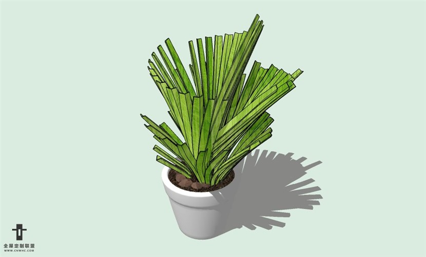 SketchUp草图大师室内植物盆景花草盆栽SU模型下载plants-070SKP模型