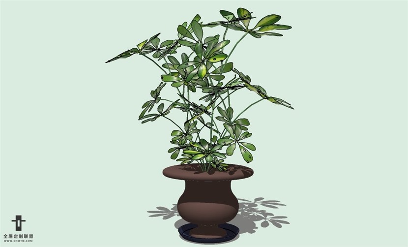 SketchUp草图大师室内植物盆景花草盆栽SU模型下载plants-071SKP模型