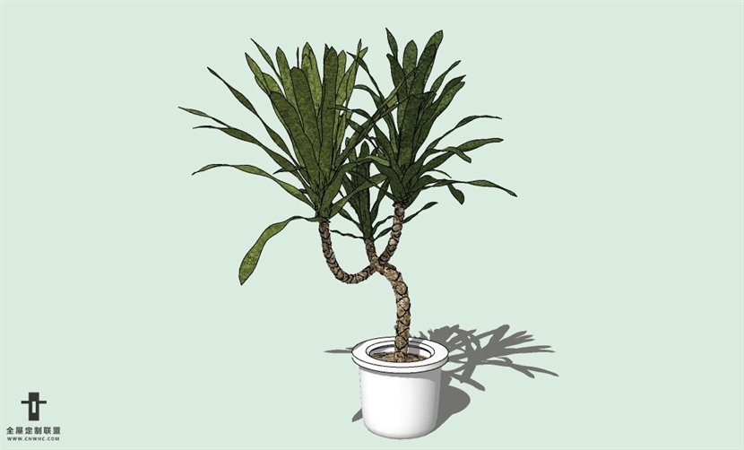 SketchUp草图大师室内植物盆景花草盆栽SU模型下载plants-077SKP模型