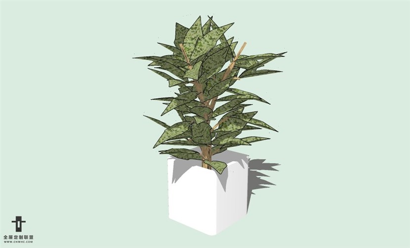 SketchUp草图大师室内植物盆景花草盆栽SU模型下载plants-113SKP模型