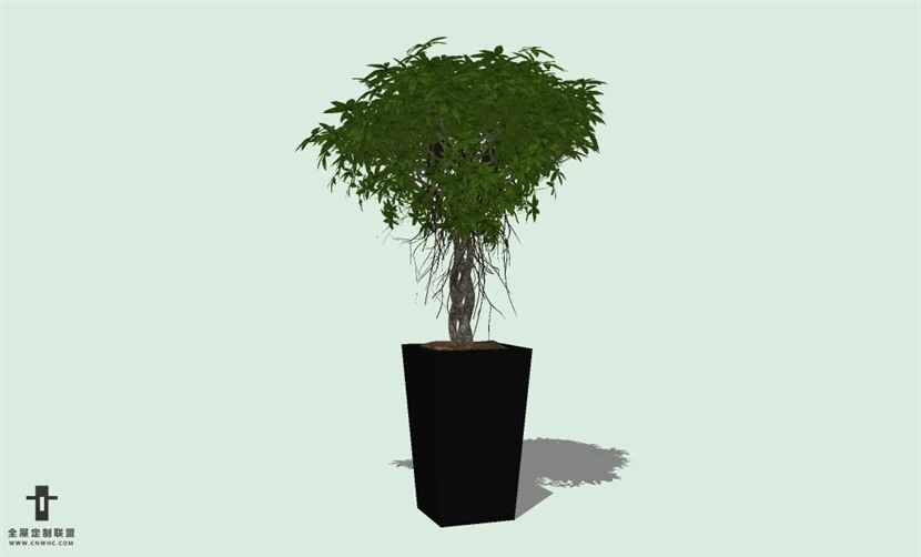 SketchUp草图大师室内植物盆景花草盆栽SU模型下载plants-129SKP模型