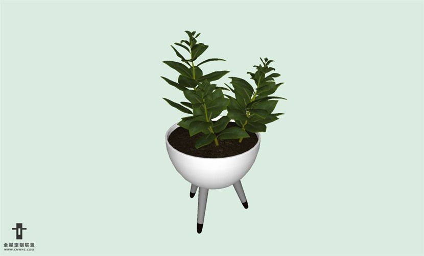 SketchUp草图大师室内植物盆景花草盆栽SU模型下载plants-145SKP模型