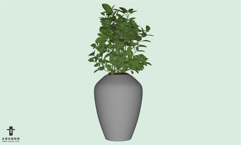 SketchUp草图大师室内植物盆景花草盆栽SU模型下载plants-175SKP模型