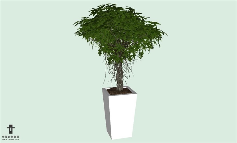 SketchUp草图大师室内植物盆景花草盆栽SU模型下载plants-178SKP模型