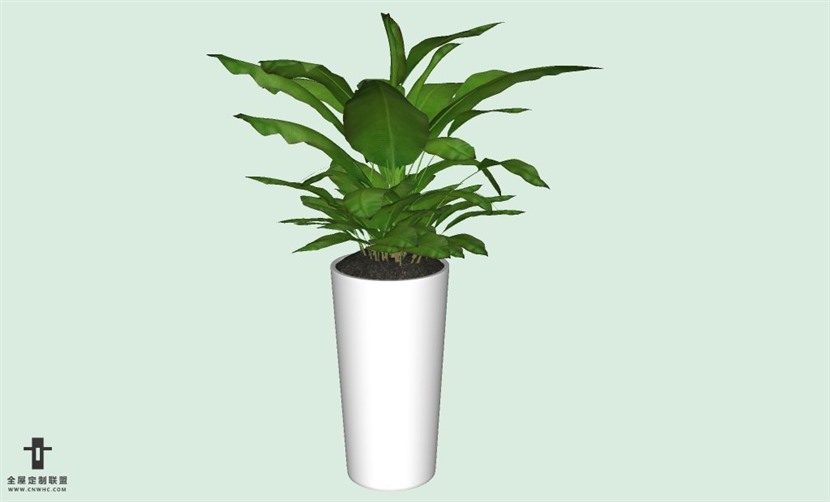 SketchUp草图大师室内植物盆景花草盆栽SU模型下载plants-179SKP模型