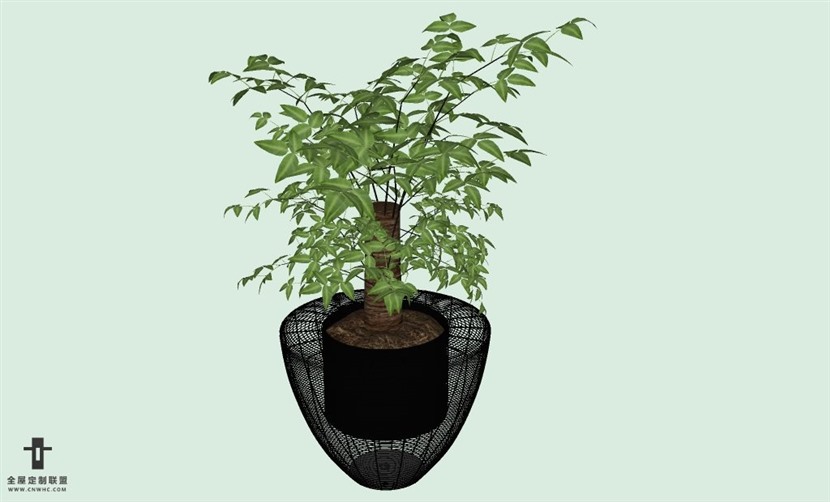 SketchUp草图大师室内植物盆景花草盆栽SU模型下载plants-181SKP模型